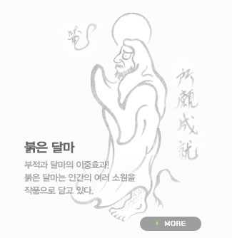 붉은달마